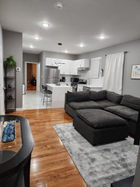 Luxurious and Modern Apartment